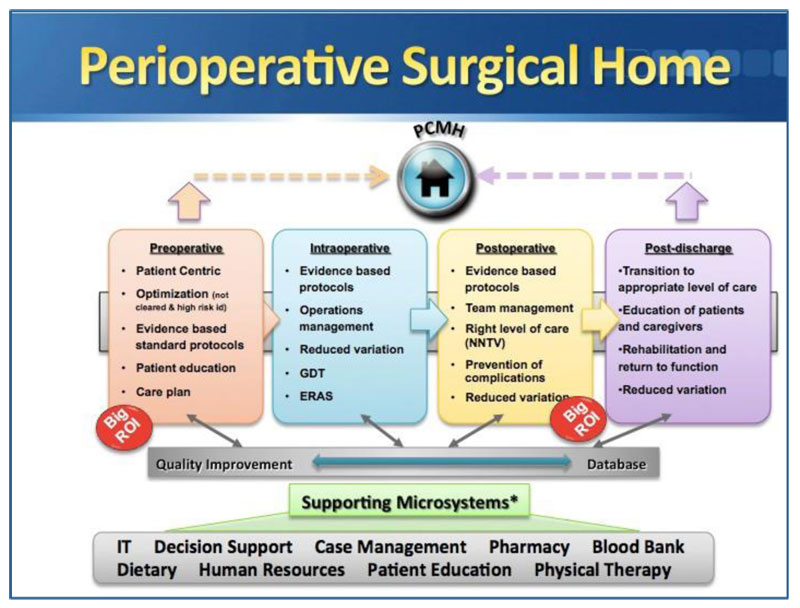 Kain-Figure-1 Integrating Care At Every Point Along A Patient’s Surgical Journey
